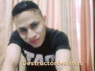 Destructordealmas