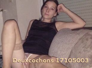 Deuxcochons