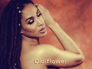 Didiflower