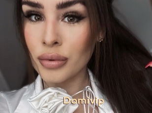 Domivip