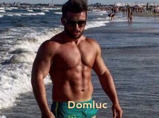 Domluc
