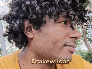 Drakewilson
