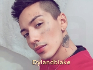 Dylandblake
