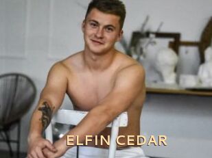 ELFIN_CEDAR