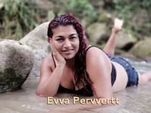 Evva_Pervvertt