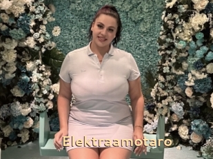 Elektraamotaro