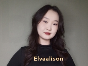 Elvaalison