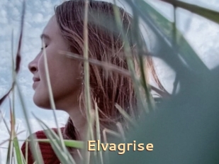 Elvagrise
