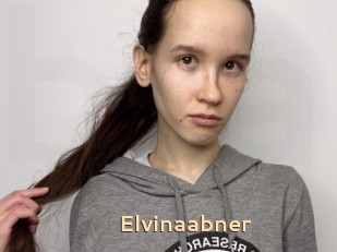 Elvinaabner