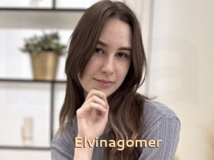 Elvinagomer
