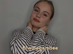 Elwinegambee