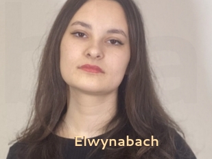 Elwynabach