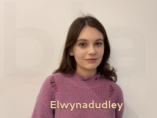 Elwynadudley