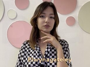 Elwynagateley