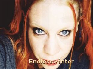 Endlesswinter