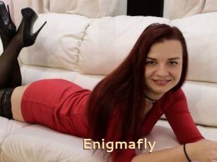 Enigmafly