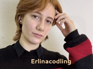 Erlinacodling
