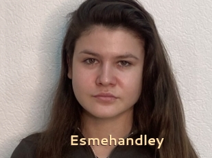 Esmehandley