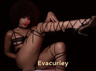 Evacurley