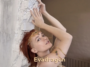 Evadragon