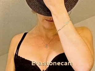 Evastonecam