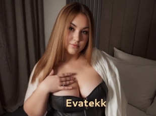 Evatekk