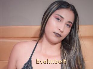 Evelinbelt