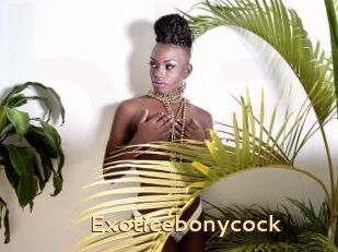 Exoticebonycock