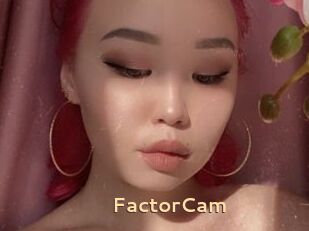 FactorCam