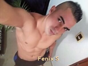 Fenix_S
