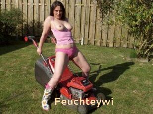 Feuchteywi