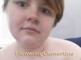 FloweringClementine