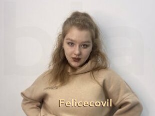 Felicecovil
