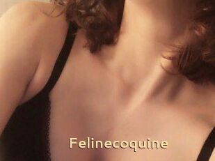 Felinecoquine
