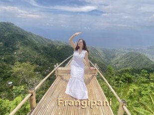 Frangipani