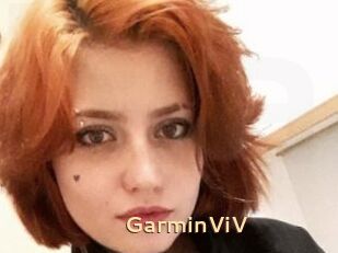GarminViV