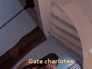 Gate_charlotee