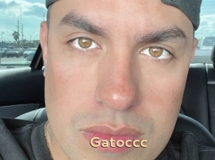 Gatoccc