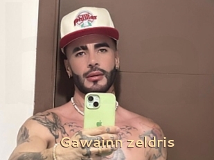 Gawainn_zeldris
