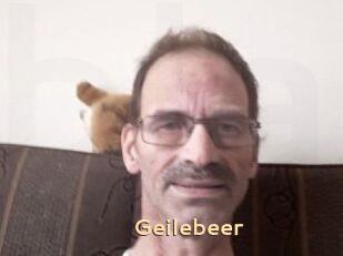 Geilebeer