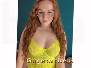 Gingerxspiceuk