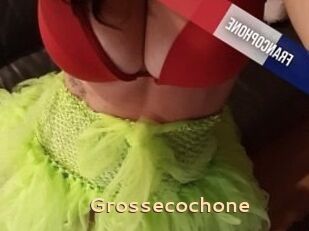 Grossecochone