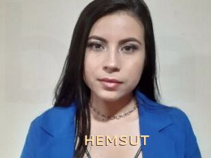 HEMSUT