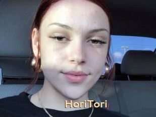 HoriTori