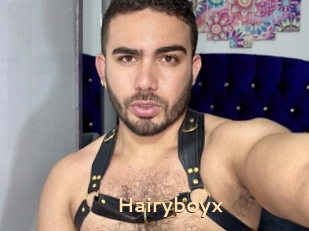 Hairyboyx