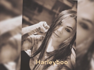 Harleyboo