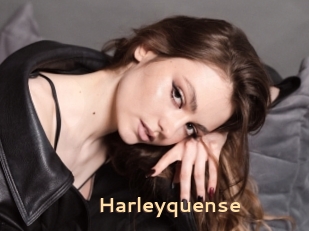 Harleyquense