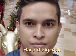 Harold_bigcock