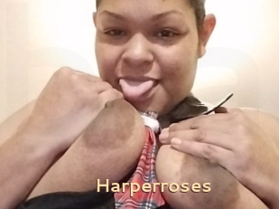 Harperroses