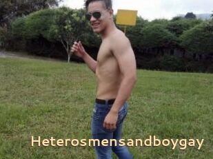 Heterosmensandboygay